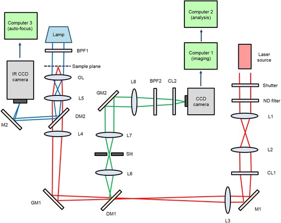 Fig. 1