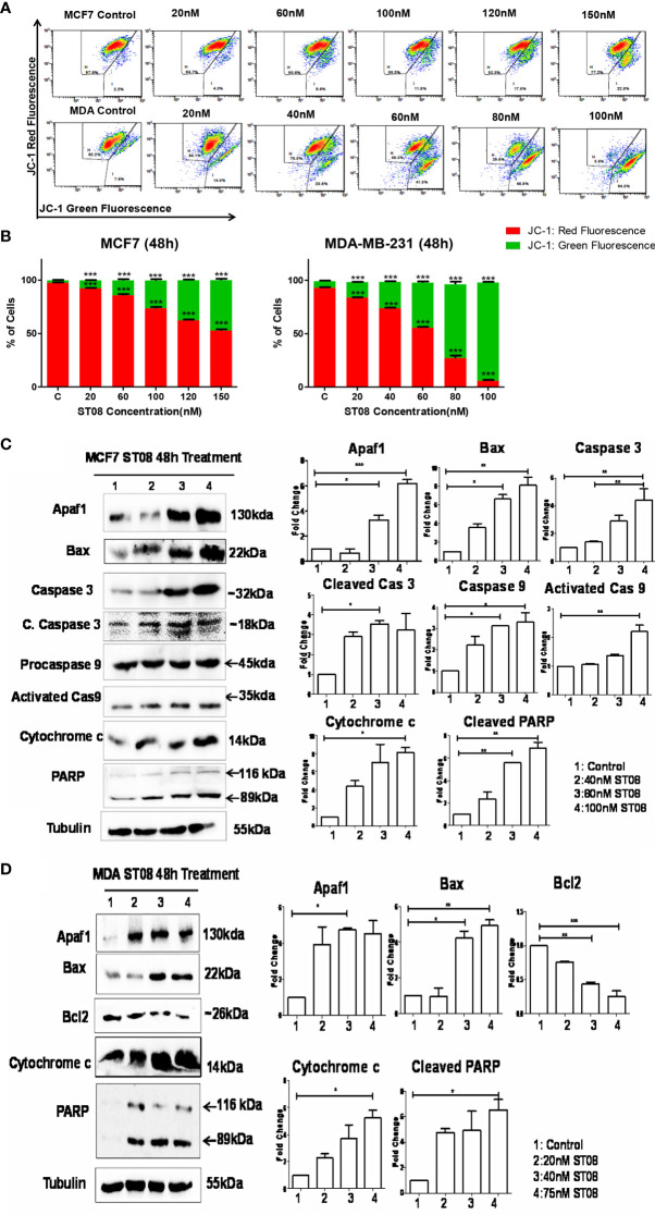 Figure 2