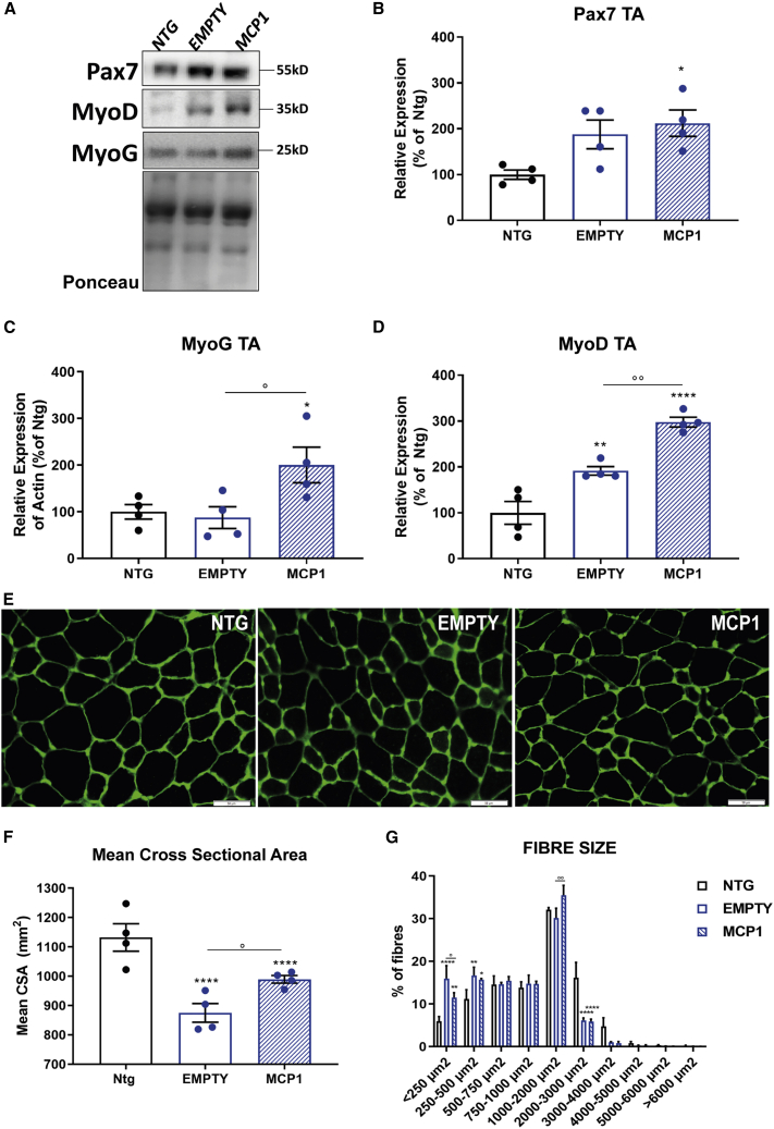 Figure 4
