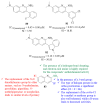 Figure 30
