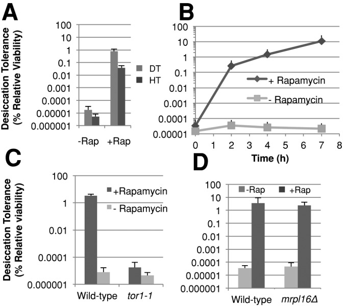 FIGURE 4: