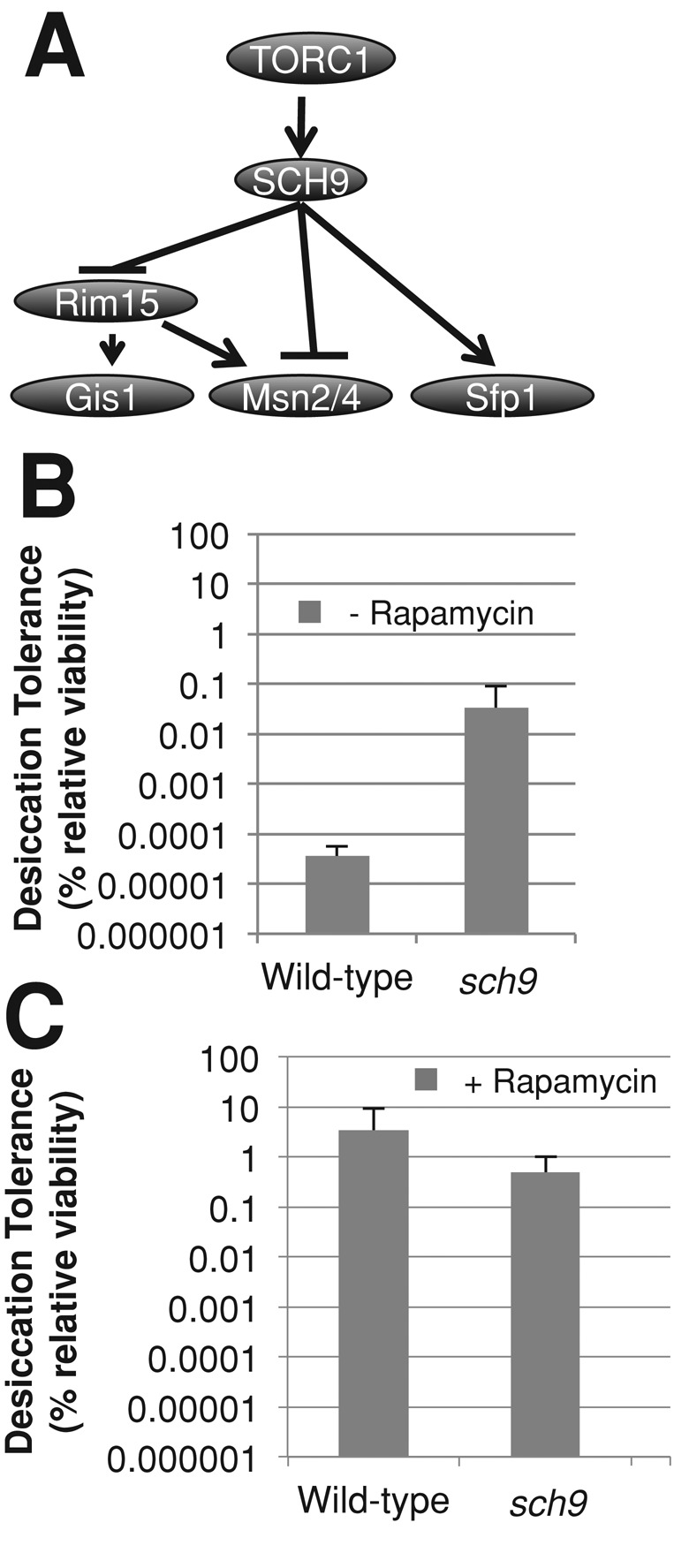 FIGURE 6: