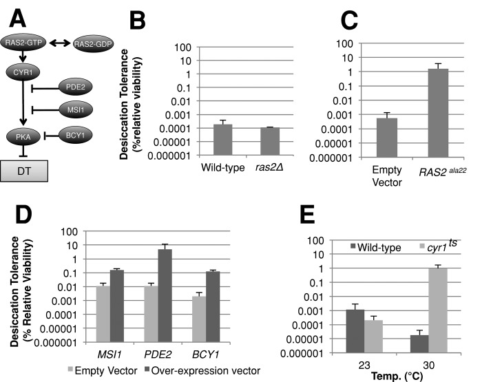 FIGURE 7: