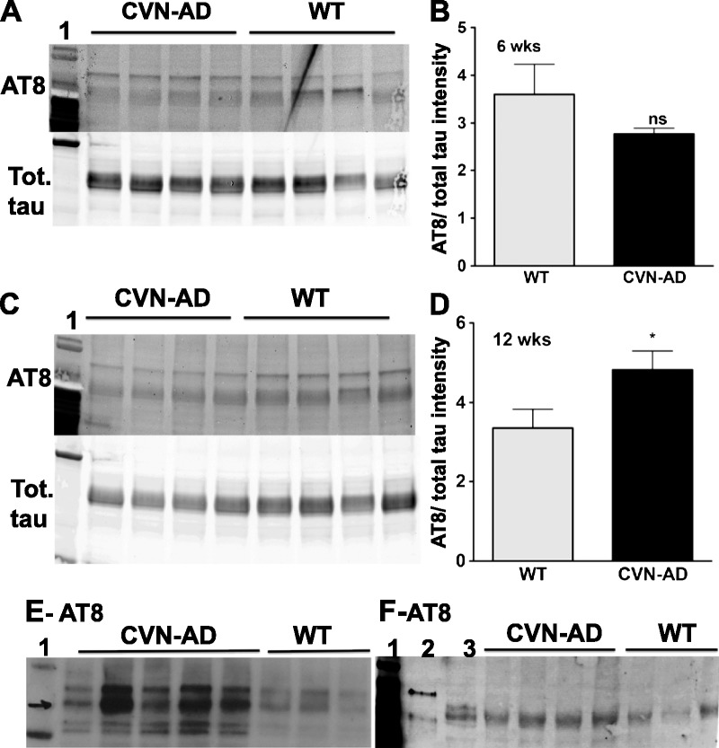 FIGURE 3