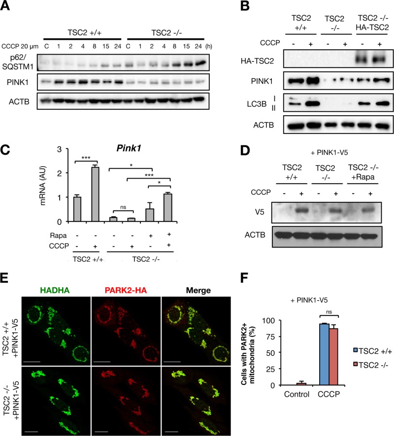 FIG 6