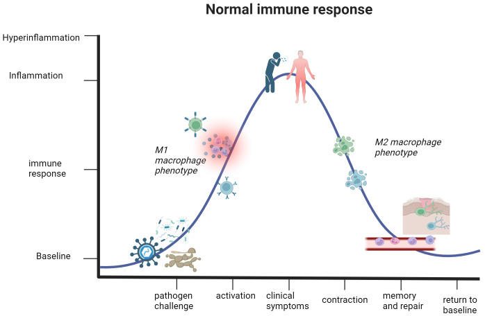 Figure 2