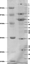 Fig 5