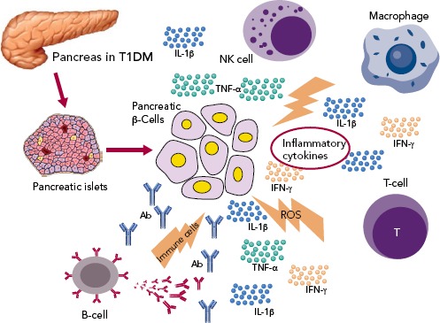 Figure 2: