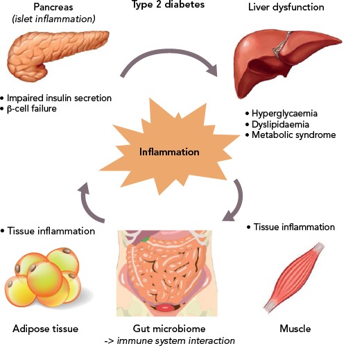 Figure 1: