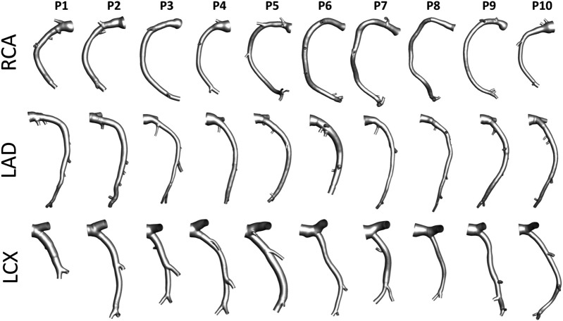 FIGURE 3