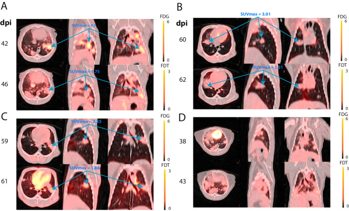 Fig. 4