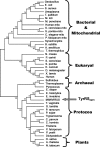 FIG. 7.