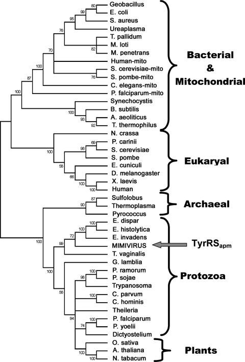 FIG. 7.