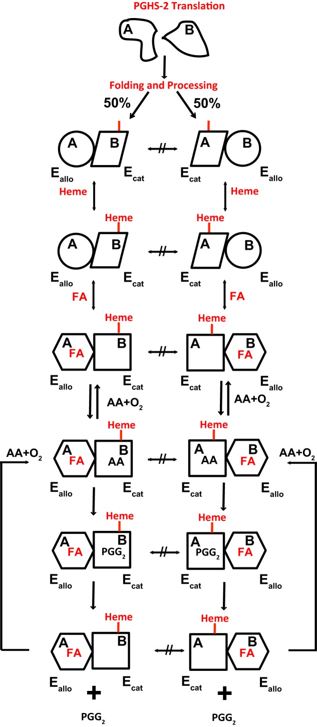 FIGURE 9.