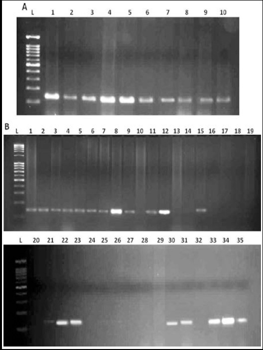 Fig.1