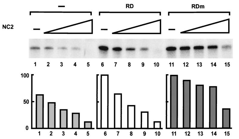 FIG. 5