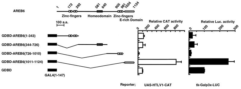 FIG. 1