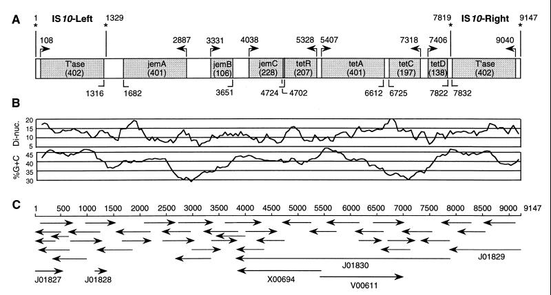 FIG. 1