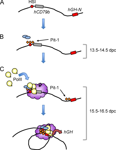 Fig 6