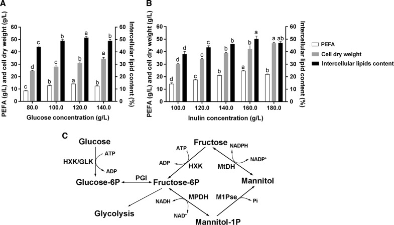 Fig. 4