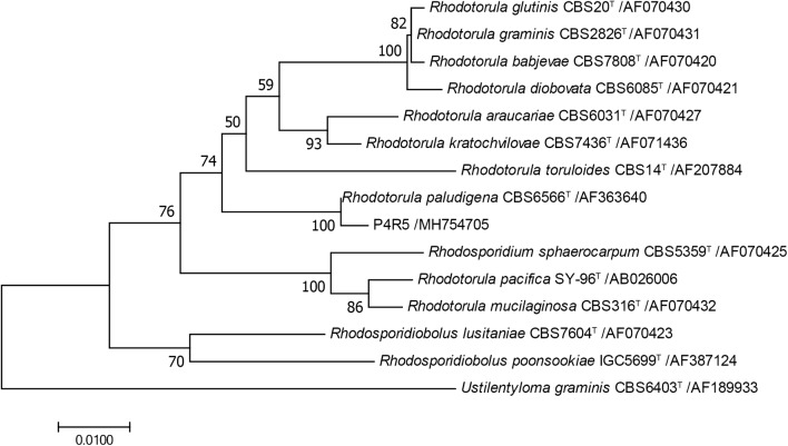 Fig. 2