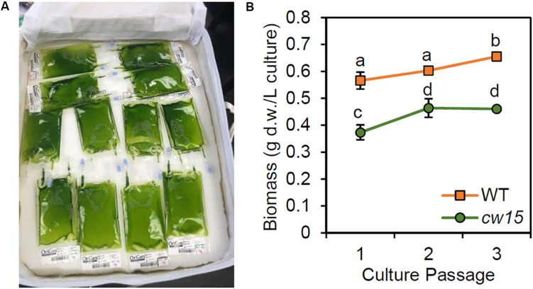 FIGURE 3