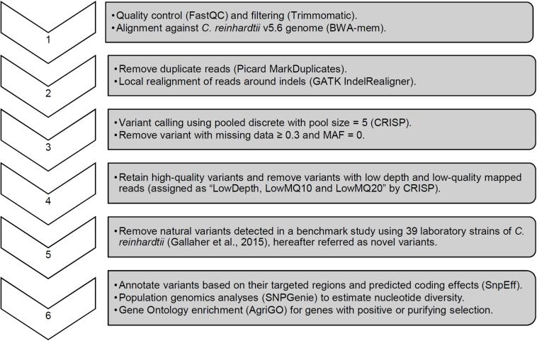 FIGURE 4