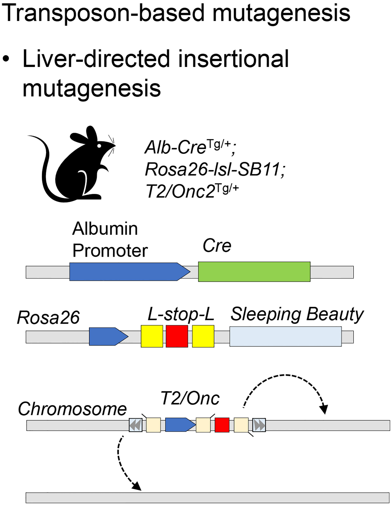 Figure 2: