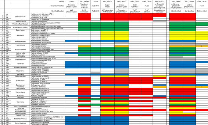 graphic file with name 42003_2022_4247_Tab1_HTML.jpg