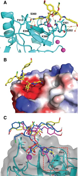 Figure 7