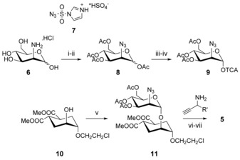 Scheme 2