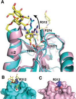 Figure 6