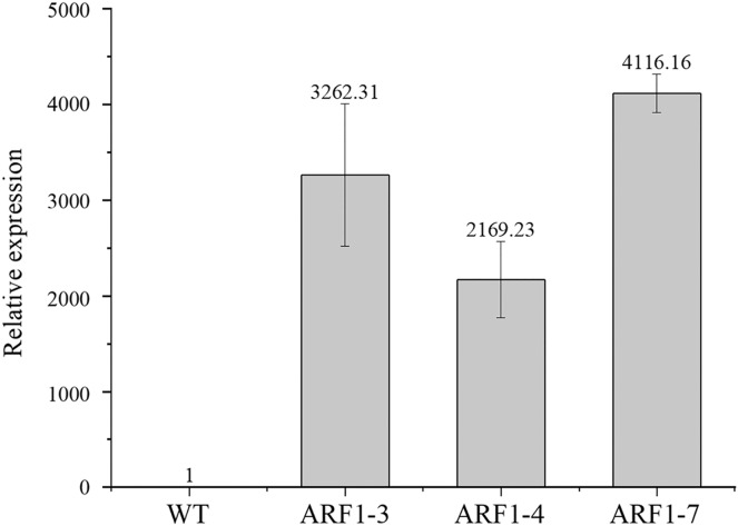 Figure 4