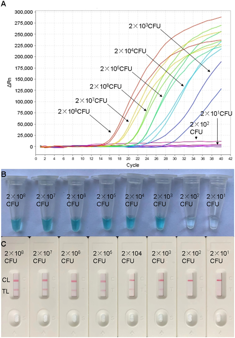 Figure 4