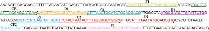 Figure 1