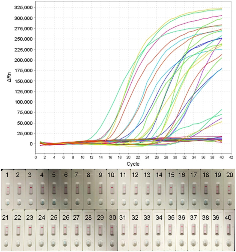 Figure 6