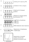 FIG. 1