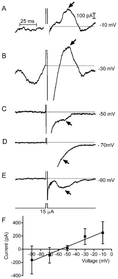 Fig. 5