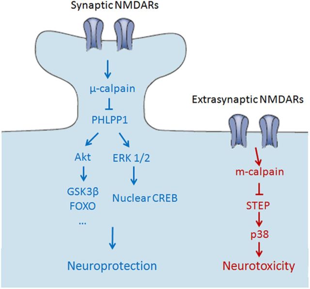 Figure 10.