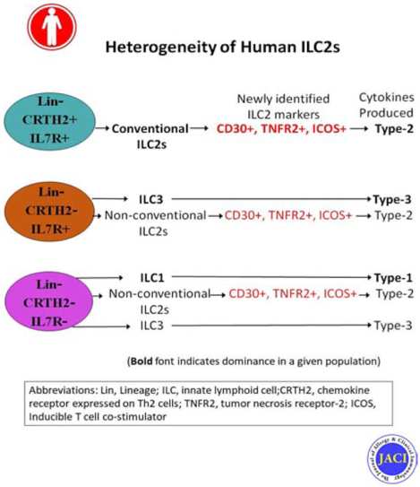 graphic file with name nihms-1556806-f0001.jpg