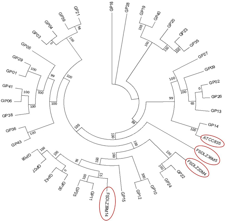 Figure 1