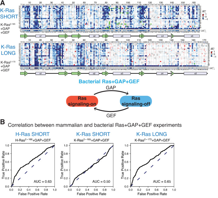 Figure 2—figure supplement 2.