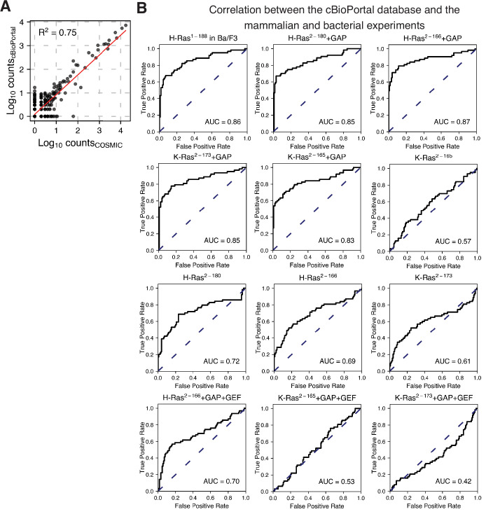 Figure 6—figure supplement 2.