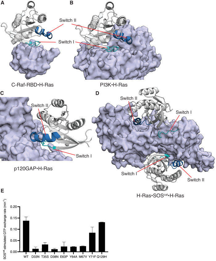 Figure 7—figure supplement 1.