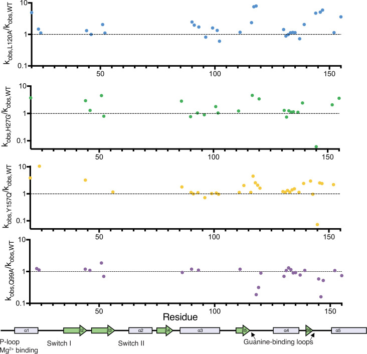 Figure 5—figure supplement 2.