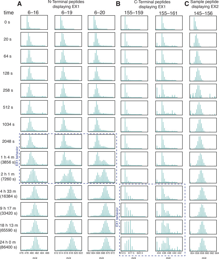 Figure 5—figure supplement 3.