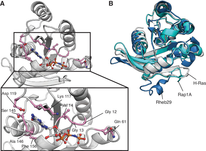 Figure 7—figure supplement 3.