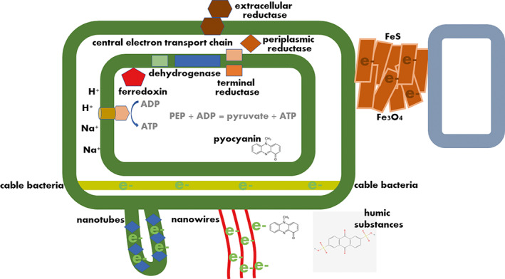 FIGURE 2