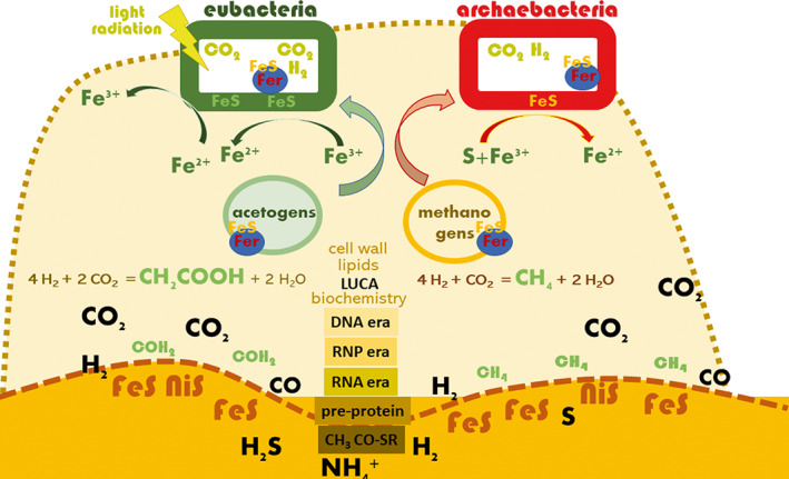 FIGURE 1