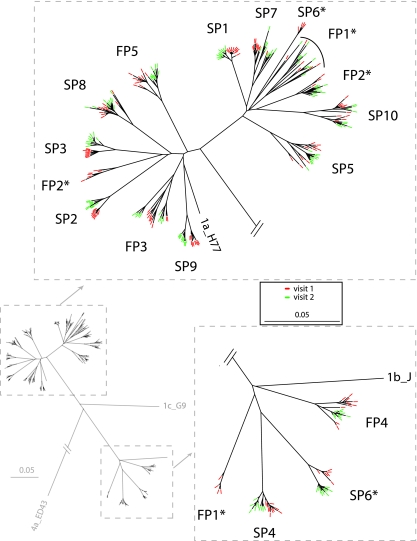 FIG. 2.